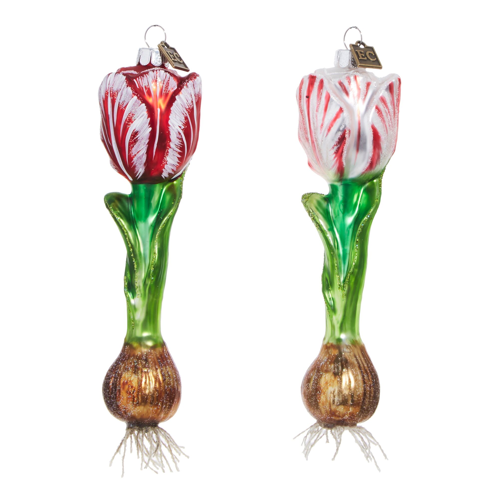 Variegated Tulip Bulb Ornament Set of 2 Assorted