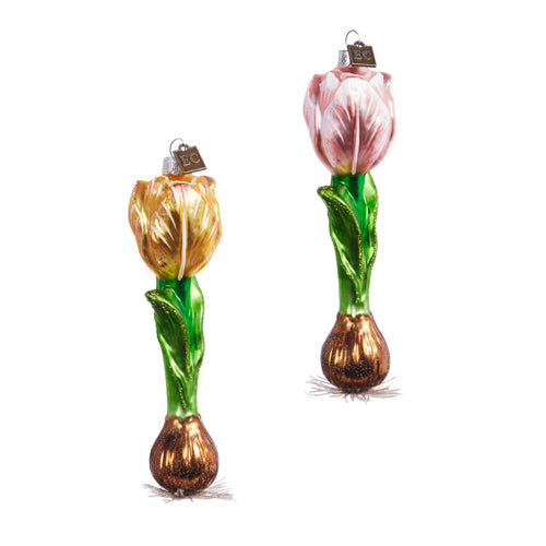 Tulip Bulb Ornament Set of 2 Assorted